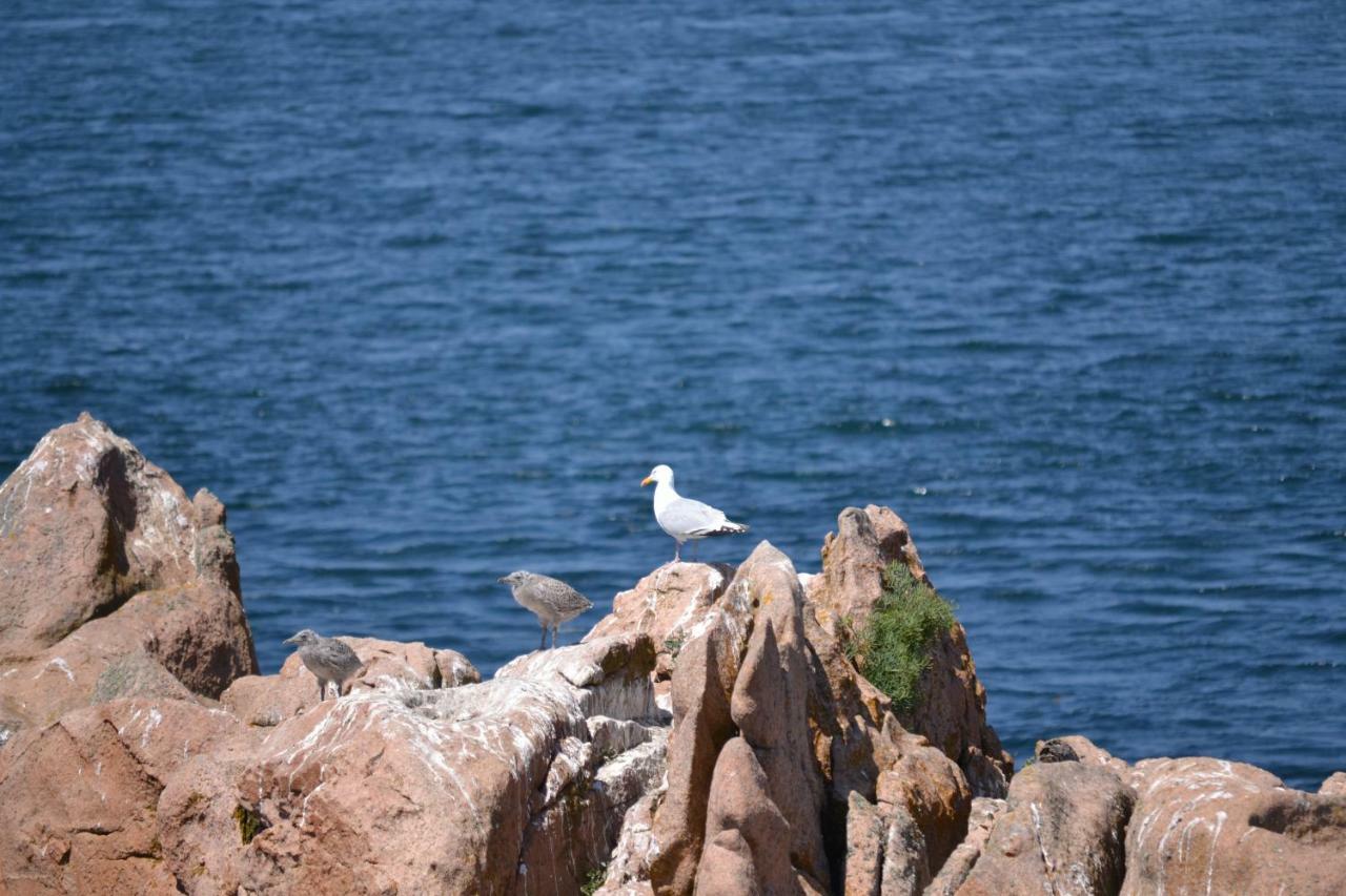 Gite De La Marina Dans La Presqu'Ile De Lezardrieux Екстер'єр фото